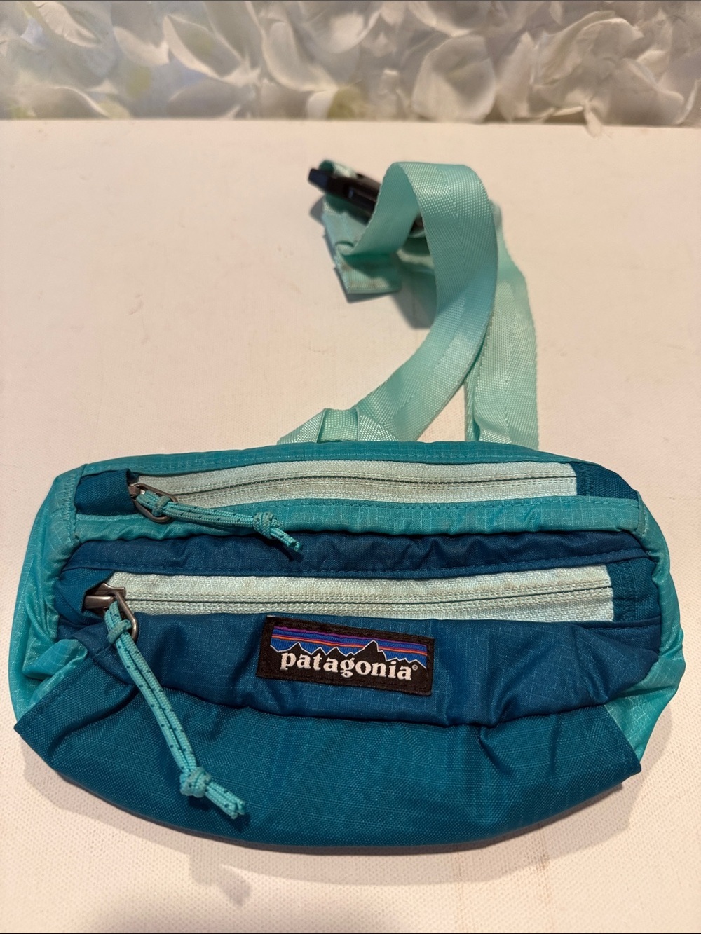 Patagonia Teal and Aqua Mini Crossbody Bag